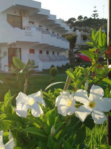 Eleni's Apartments