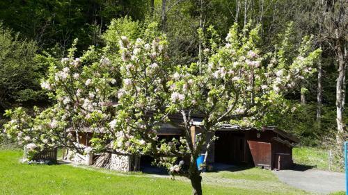 Hostal G�stehaus Kurparkfrieden
