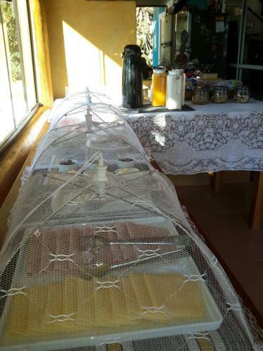 Hostal Atelier Alto Doti�