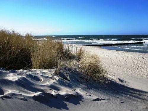 Residenz Lausitz - Apartments F�r Urlaub Mit Hund