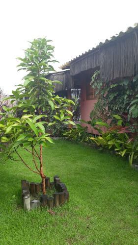 Casas Belas De Taipu
