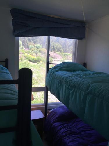 Apartamento Departamento Costa Quilen 236