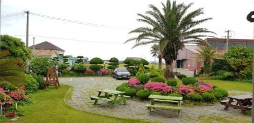 Jeju Again Olle Pension