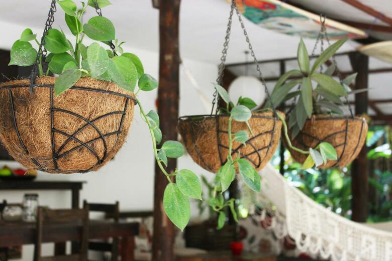 Apartamento Colibri Surf House & Flats