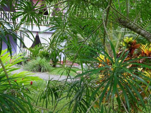 Villas Casita Azul