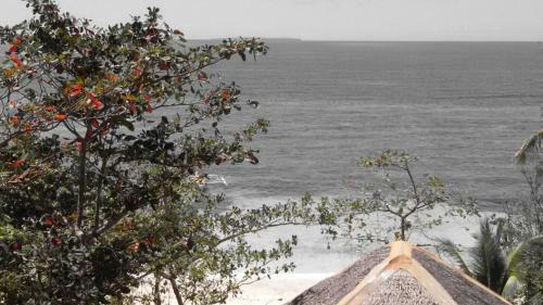 Hotel Pearl Resort