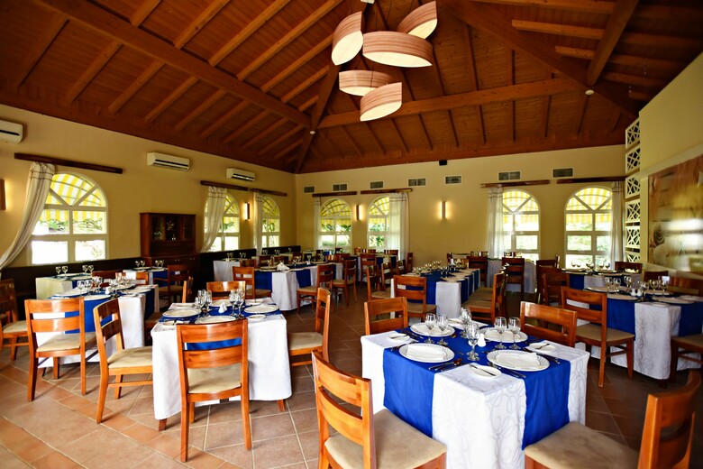 Hotel Memories Caribe Beach Resort  - Adults Only