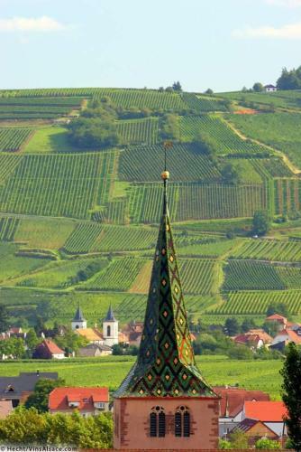 Hotel H�tel Berceau Du Vigneron