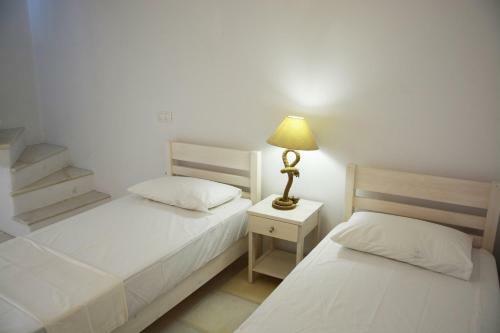White Blue Houses & Apartments Paros