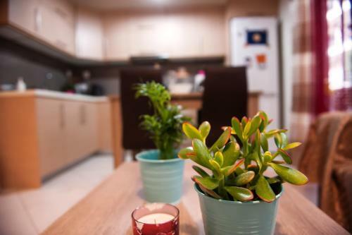 Apartamento City House