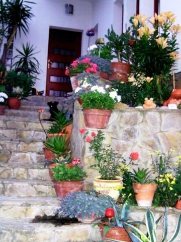 Apartamentos Villa Panor�ma