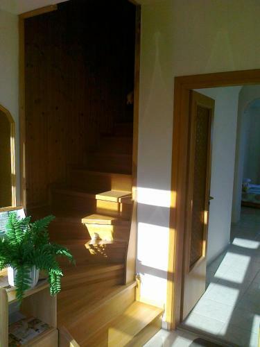 Apartamento Szab� H�z