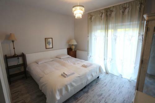 Hostal Pastel Guesthouse