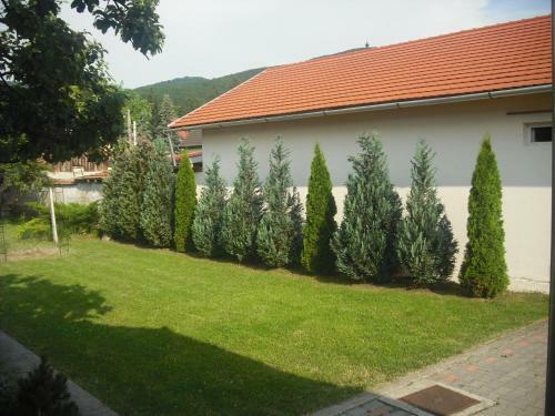 Apartamento Napsug�r Vend�gh�z Szilv�sv�rad