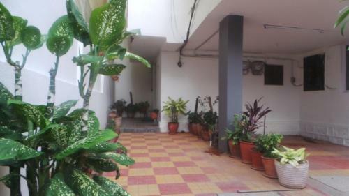 Hostal Cosy Banjara Guest House