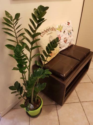 Apartamento Suite Angeli