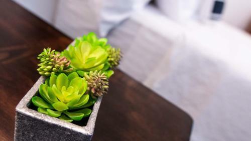 Apartamento Cattleya's Kingsway Suite