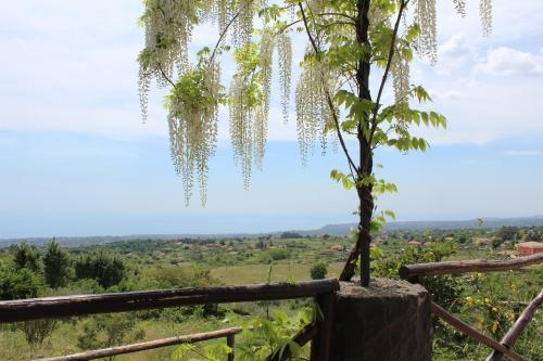 Alberto's Mt.etna B&B