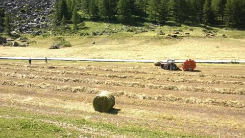 Agroturismo La Ferme Du Grand Paradis