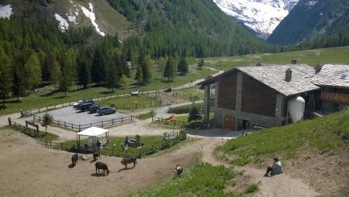 Agroturismo La Ferme Du Grand Paradis