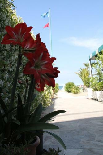 Hotel Fausto