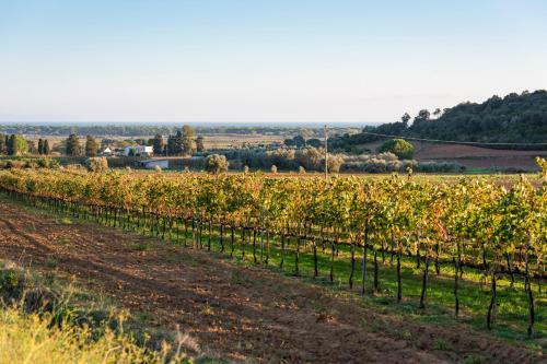 Agroturismo Agr. Terre Di Castiglione