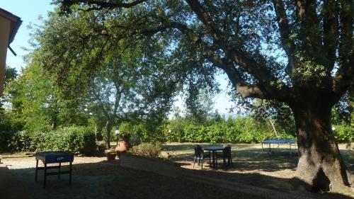Agroturismo Al Vecchio Leccio