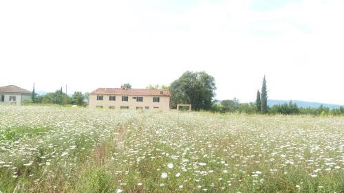 Agroturismo Al Vecchio Leccio