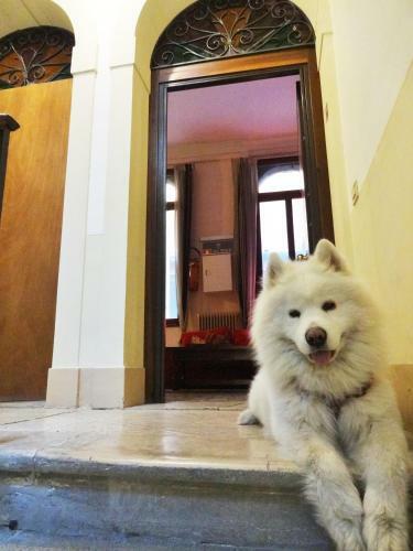 Albergue Youth Venice Palace