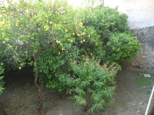 Apartamento Anfiteatro