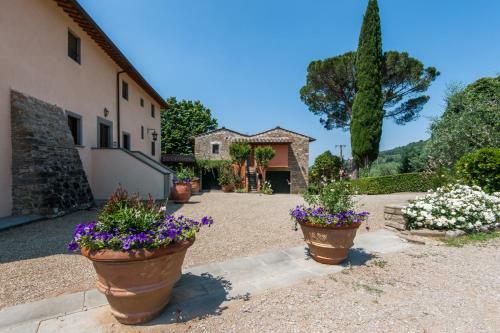 Agroturismo Borgo I Vicelli Country Relais