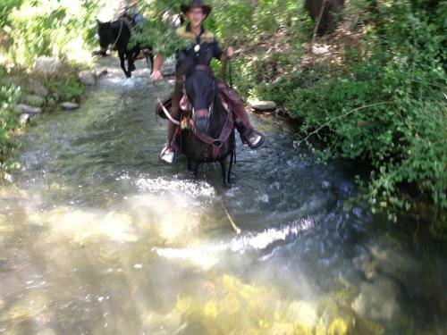Agroturismo Pantalica Ranch