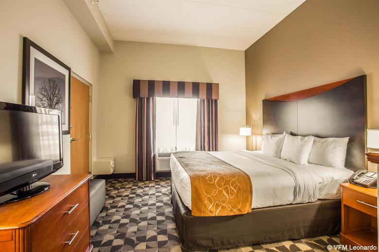 Hotel Comfort Suites At Harbison