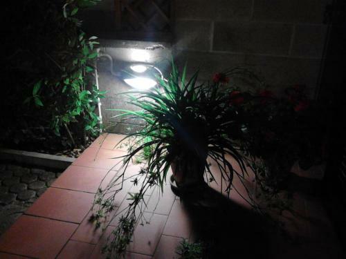 Apartamento Bed And Breakfast Catherina