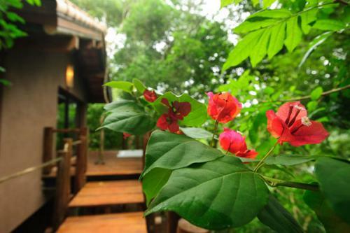 Hotel Loi Suites Iguaz�