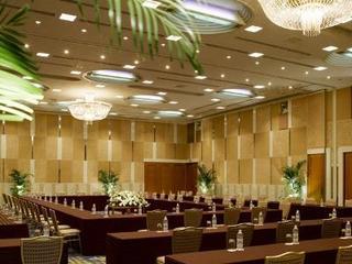 Hotel Nikko Narita