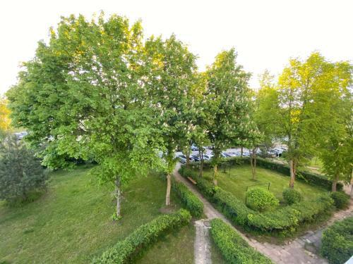 Palangoje Apartamentu Nuoma