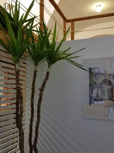 Apartamento La Salita Di San Camillo