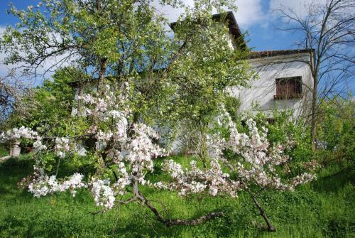 Agroturismo Bed & Breakfast Cascina Cin Cin