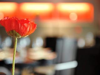 Hotel Mercure Brussels Airport