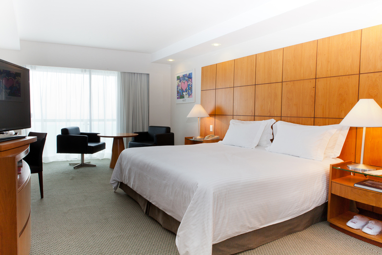 Hotel Rio Othon Palace
