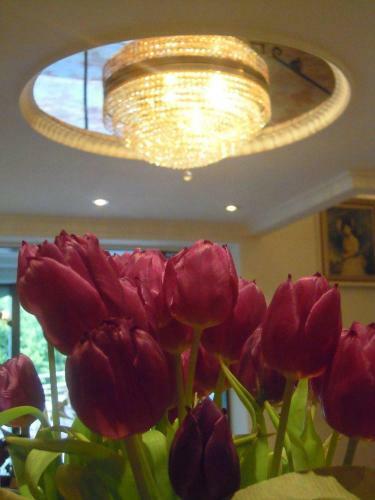 Garni Hotel Franca