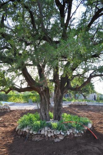 Agroturismo Tigmin Eden