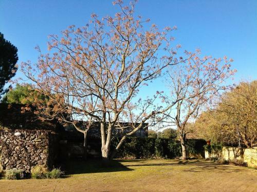 Agroturismo Tenuta Sant'andrea