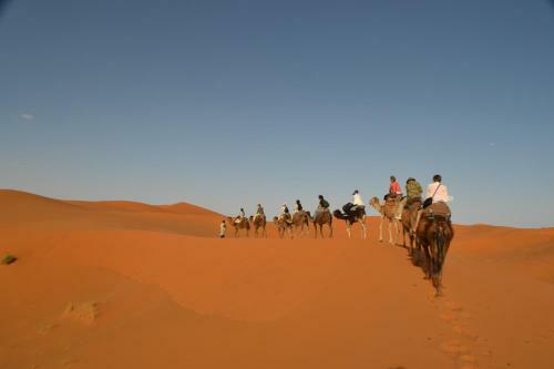 Night Desert Camp