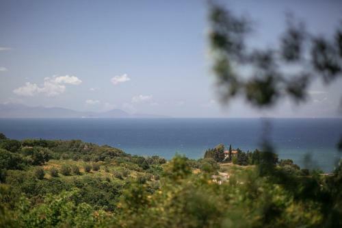 Casa Vacanze Mistral