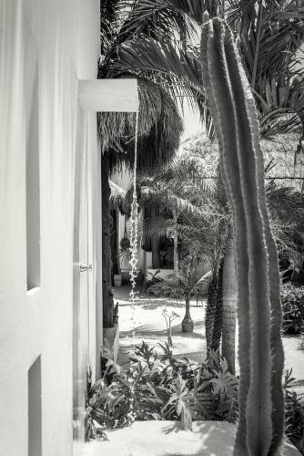 Tierra Del Mar Hotel - Adults Only