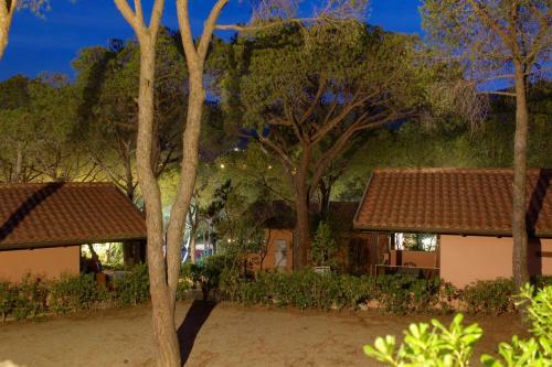 Camping Lacona Pineta