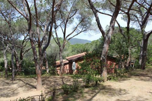 Camping Lacona Pineta