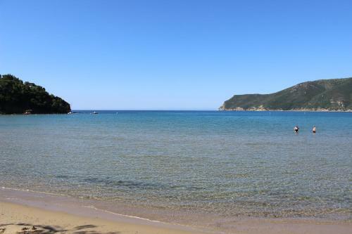 Camping Lacona Pineta